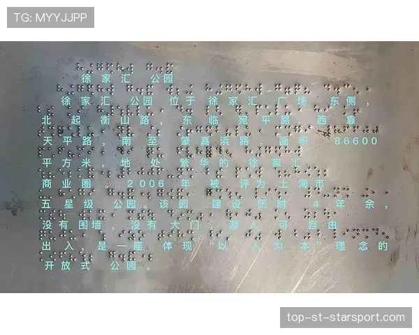 球迷区官方导览地图盲文点位与触觉模型展示说明，盲文点位口诀